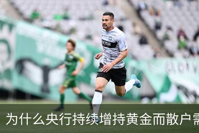 为什么央行持续增持黄金而散户需理性？