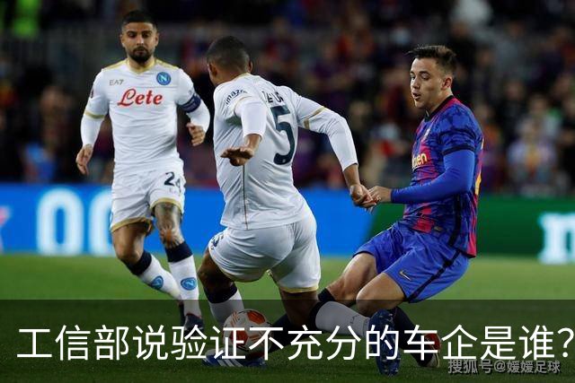 工信部说验证不充分的车企是谁？