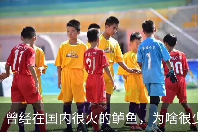 曾经在国内很火的鲈鱼，为啥很少人吃了，鱼贩子：4大原因影响大