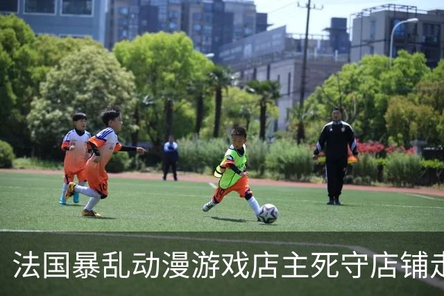 法国暴乱动漫游戏店主死守店铺走红 赢得全网尊重