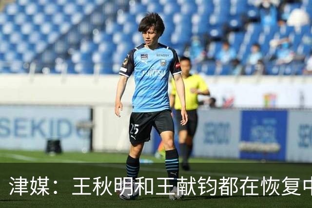 津媒：王秋明和王献钧都在恢复中，能够正常参与最后两轮比赛