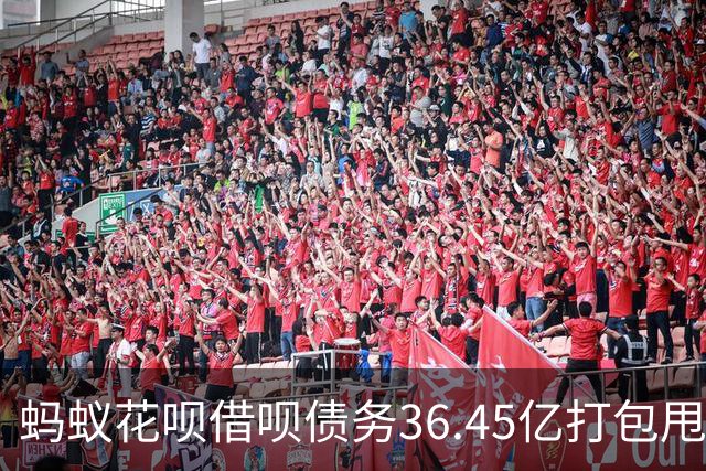 蚂蚁花呗借呗债务36.45亿打包甩卖：别做梦了，债主换了债还在。