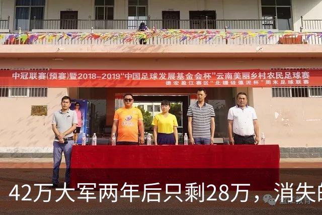 42万大军两年后只剩28万，消失的14万人没死，他们去了另一个战场
